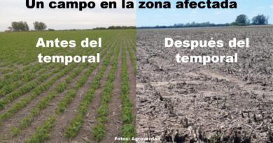 Agro: unas 35.000 hectáreas de Tercero Arriba se vieron afectadas por el temporal de viento y granizo