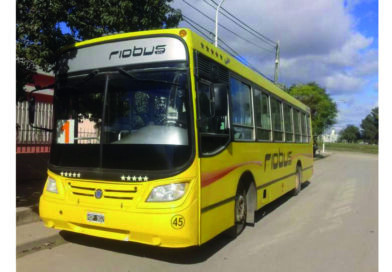 Transporte urbano: es muy baja la cantidad de usuarios en El Portal y se define la continuidad del servicio