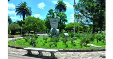 Condenaron a tres años a dos jóvenes integrantes de una banda narcomedudista de Hernando