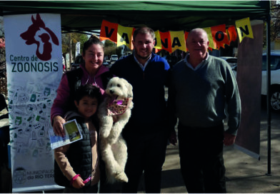 Día del Animal – Zoonosis reveló cuántas mascotas viven por hogar en Río Tercero: perros vs. gatos
