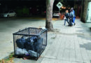 Por cuáles barrios arranca el nuevoesquema de limpieza urbana enRío Tercero este lunes 11 de mayo