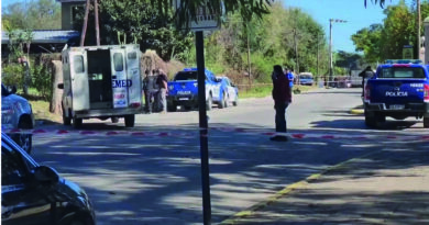 Un perro mató a una nena de 4 años en Cosquín
