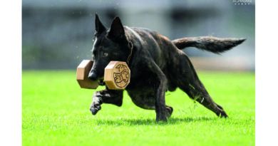 Perros – Río Tercero será sede del Campeonato Nacional de Adiestramiento este fin de semana