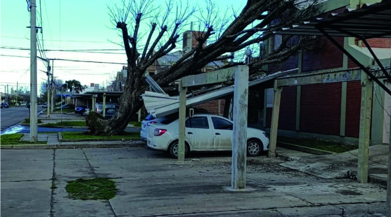 El Municipio brindó detalles de los inconvenientes que dejó esta jornada con ráfagas de hasta 115 k/h