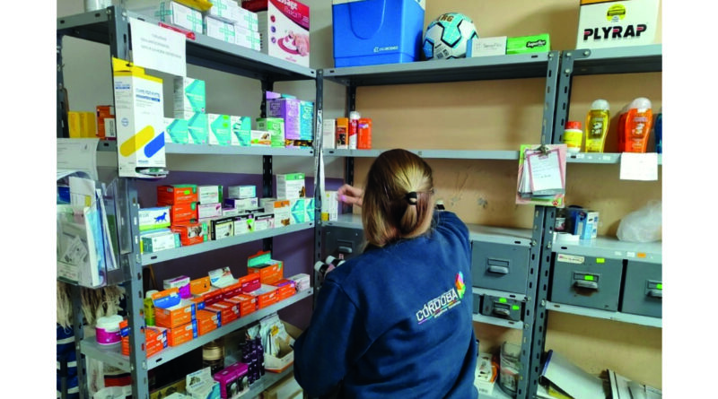 Río Tercero: clausuraron negocios que venden remedios veterinarios y les retuvieron productos