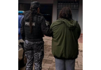 Barrio Las Violetas – Violencia – Agredió con un palo de piso a su abuela y a su hijo, quedó detenida