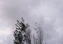 El tiempo – Se pronostican más días nubosos y lluvias: recién a fin de mes habrá cielo despejado